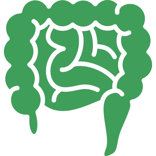 Detoks Bağırsak Florası